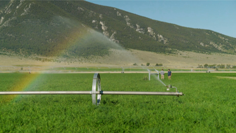 Dr. Williams Webinar on Reusing Water for Field Irrigation